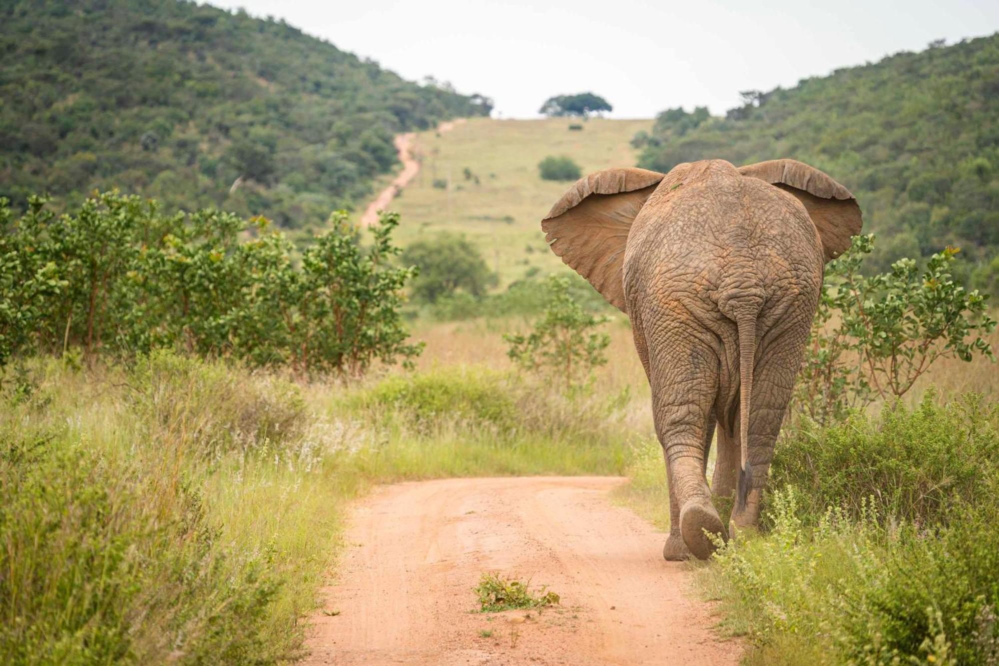 Ekuthuleni Lodge 斯特兰德 外观 照片